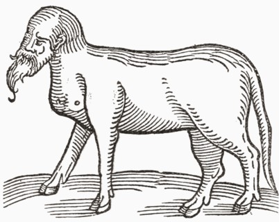A human faced animal.