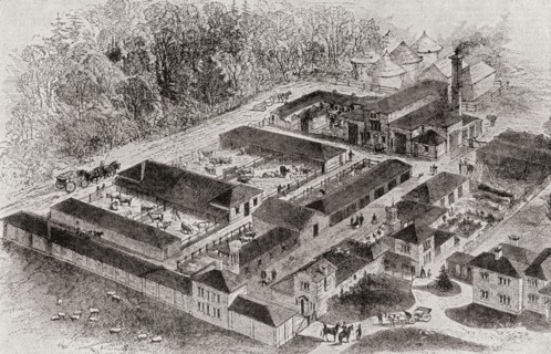 The Model Farm Of Albert Edward.