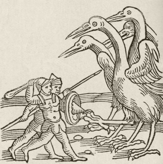 Fight between Pygmies and Cranes.