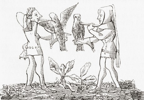 Falconry in the middle ages.