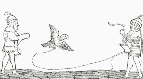 Falconry in the middle ages.