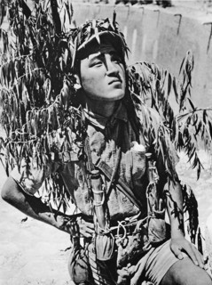 In the Sino-Japanese war a young chinese soldier armed with grenades and camouflaged outside the Citadel of Tungkwan on the Yellow river.