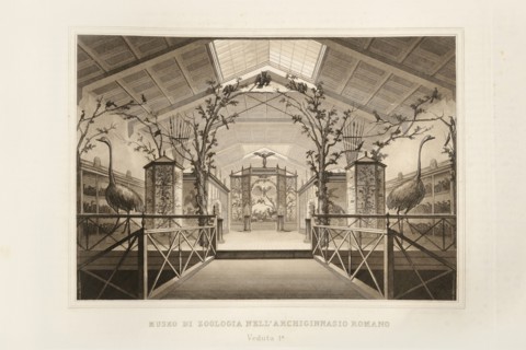 La Science et les Arts sous le pontificat du pape Pie IX, 1860