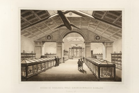 La Science et les Arts sous le pontificat du pape Pie IX, 1860