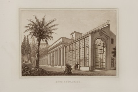 La Science et les Arts sous le pontificat du pape Pie IX, 1860