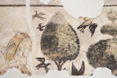 Frescoes in the Town Hall of Esanatoglia