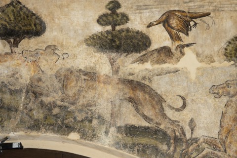 Frescoes in the Town Hall of Esanatoglia
