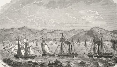 Dalmatia, 19th century