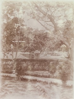 View taken in garden of Port Officer's bungalow