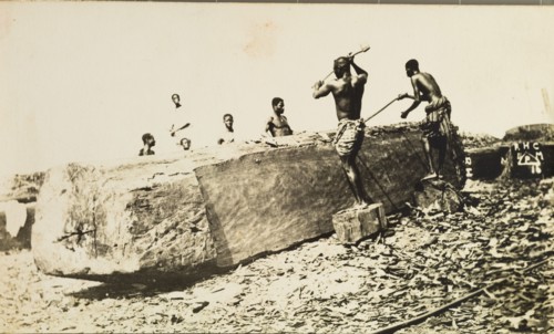 Preparing mahogany