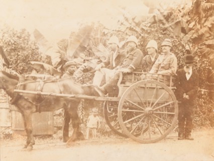 European men seated in horse drawn cart, Mauritius