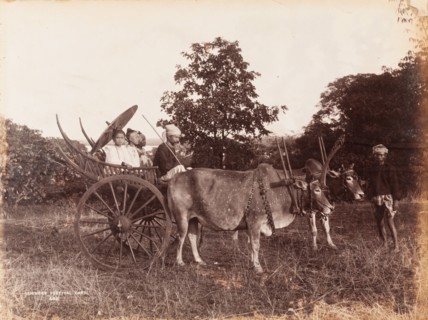 Girls seated in a Burmese festival cart