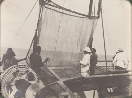 Deep sea trawl net on the RIMS Investigator