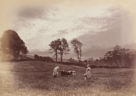 Photograph by Henry Peach Robinson called 'Feeding the Calves', England