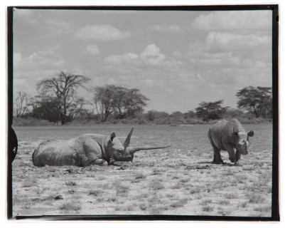 Amboseli Game Reserve