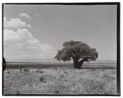 View of Lake Manyara