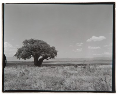 View of Lake Manyara
