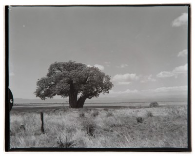 View of Lake Manyara