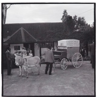 Shaw - Kingsford Wedding Reception