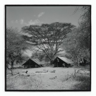 Golden Hill Safari Camp