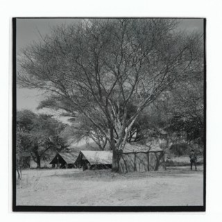Golden Hill Safari Camp