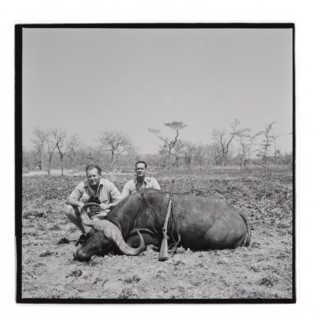 Golden Hill Safari Camp