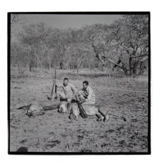 Golden Hill Safari Camp