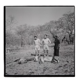 Golden Hill Safari Camp