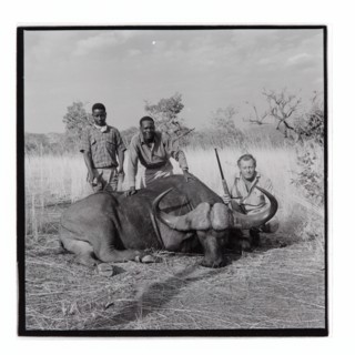 Golden Hill Safari Camp