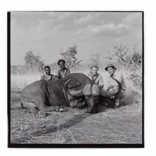 Golden Hill Safari Camp