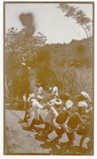 Plantation workers and elephant hauling load