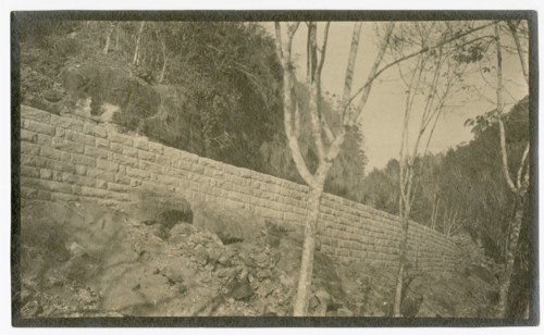 Road embankment in plantation