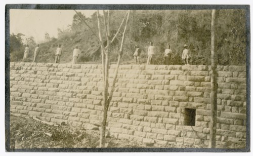 Plantation workers on embankment
