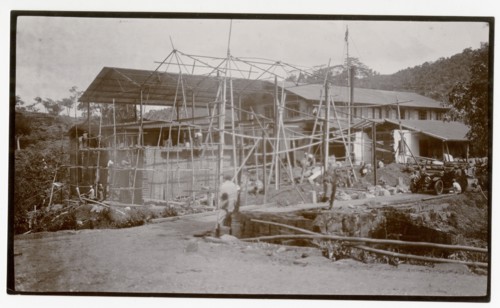 Plantation hospital construction