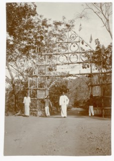 Plantation hospital celebration pandal