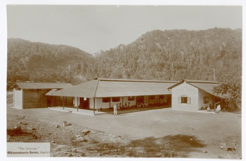 The Hospital, Gikiyanakanda Estate