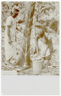 Two workers with rubber tree