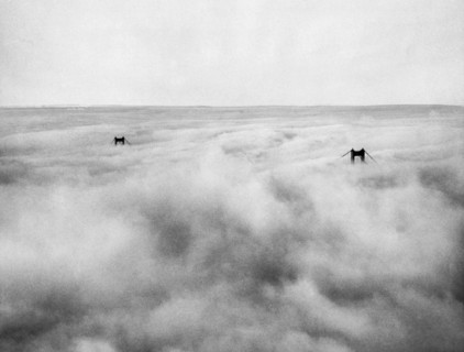 Fog Bound Golden Gate