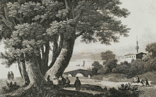 Ottoman Empire. Turkey. 40 plane trees of Godfrey of Bouillon. Prairie of Buyukdere. According to