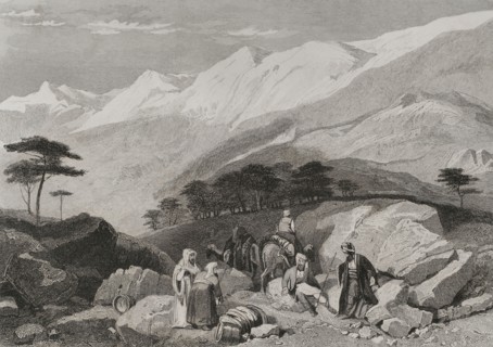 Mount Lebanon. Cedars. Engraving by Ransonnette. ""La Tierra Santa y los lugares recorridos por los