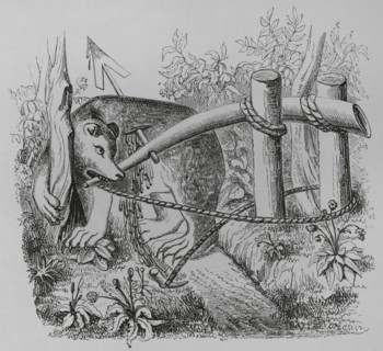How bears and other beasts may be caught with a dart. 19th century facsimile after a miniature in