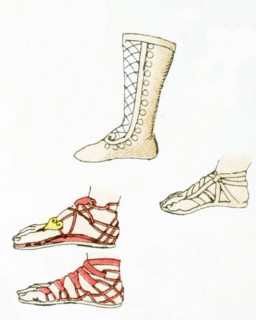 The illustration here shows ancient Greek shoes.The illustration dates to 1882.