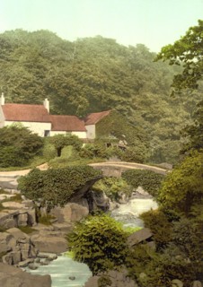 Jesmond Dene.