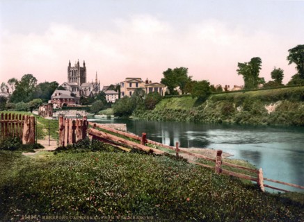 Cathedral of Wye meadows.