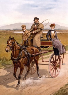 Irish jaunting car.