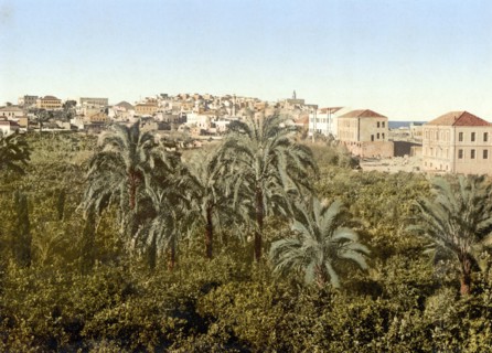 Jaffa.