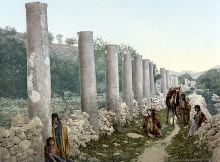 The colonnade of Samaria.