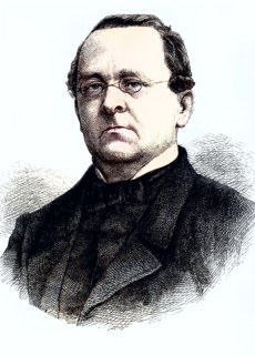Anton Sommer.
