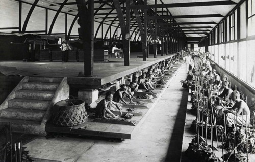 Indian workers sorting tobacco leaves under the supervision of Europeans in a fermentation shed in