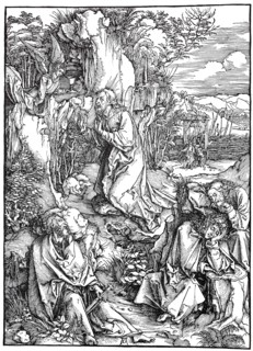 Woodcuts to the great passion.
